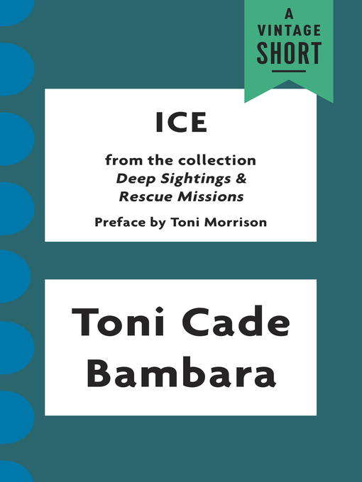 Title details for Ice by Toni Cade Bambara - Available